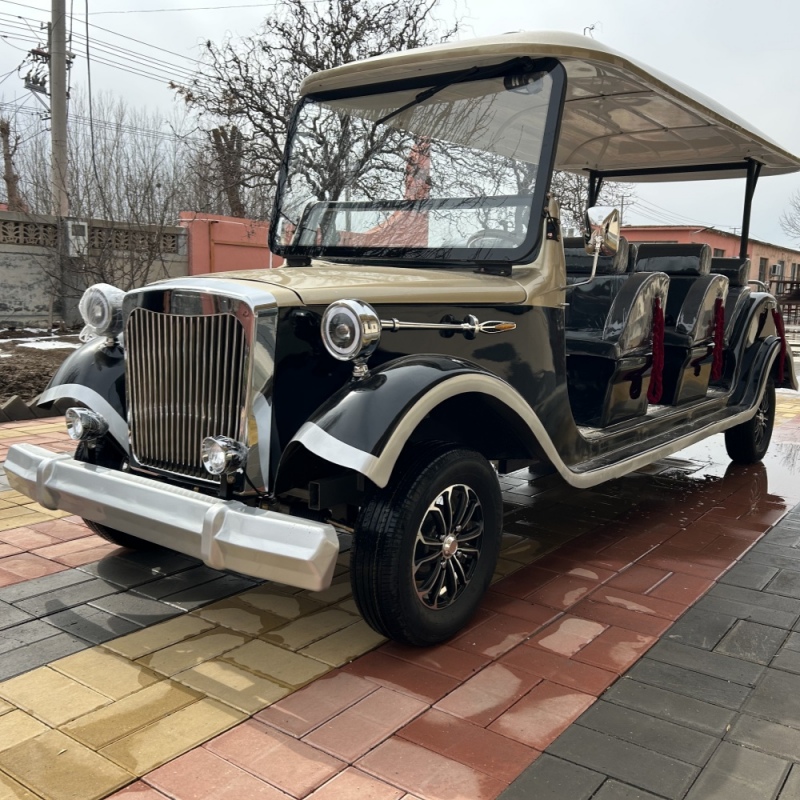 Elektryczny samochód turystyczny Scenic Area