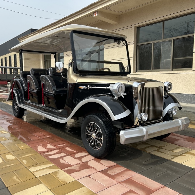 Πολυθέσιο αυτοκίνητο υποδοχής vintage