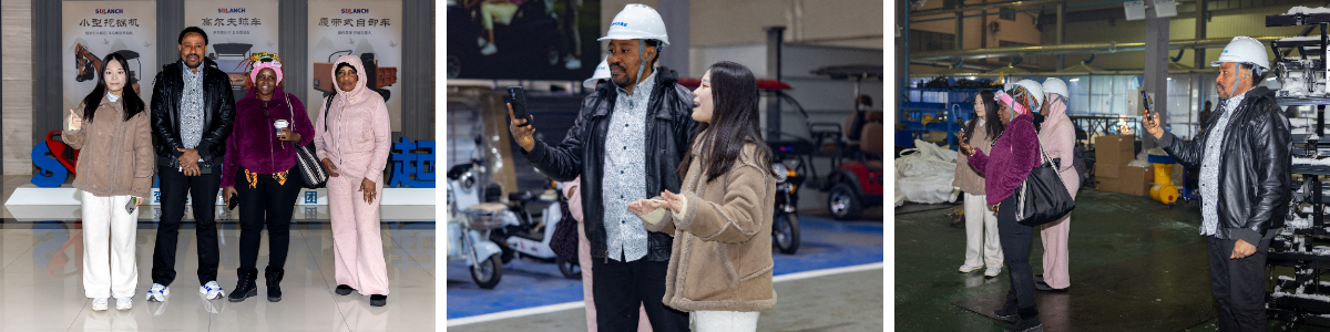 Elektrisches Sightseeing-Auto