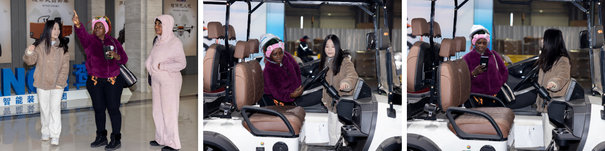 Beste elektrische golfkar