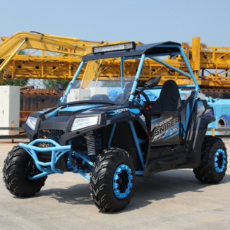 Electric Utv for sale