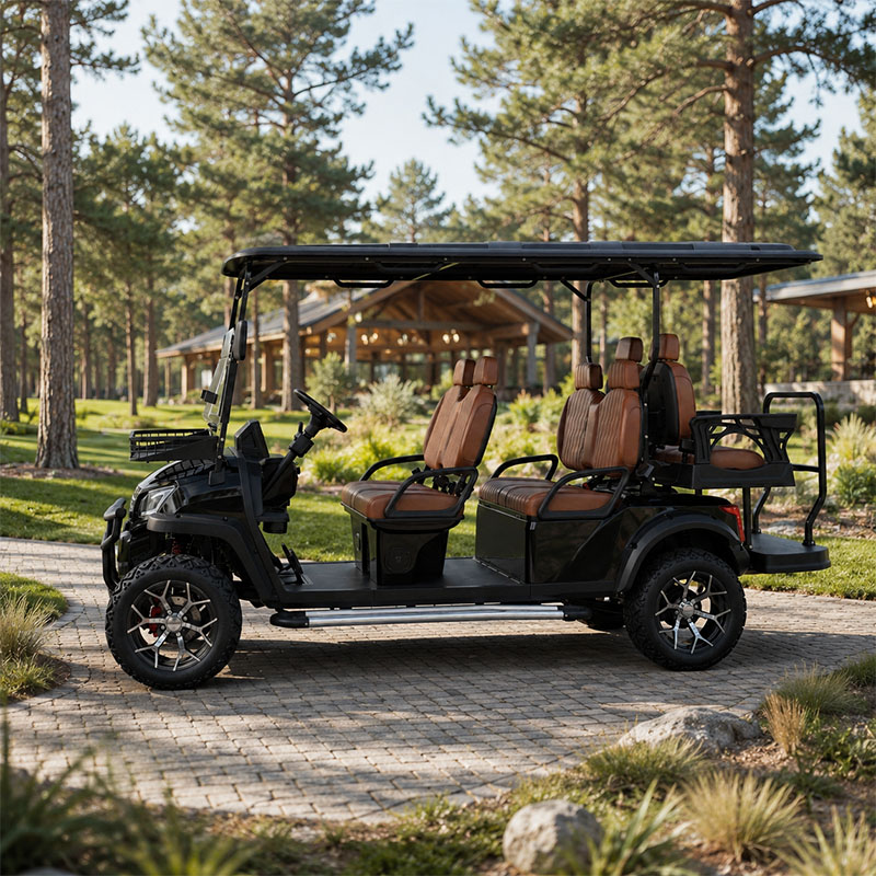   Electric Golf Cart 