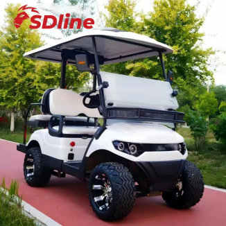 Premium Electric Golf Cart for Global