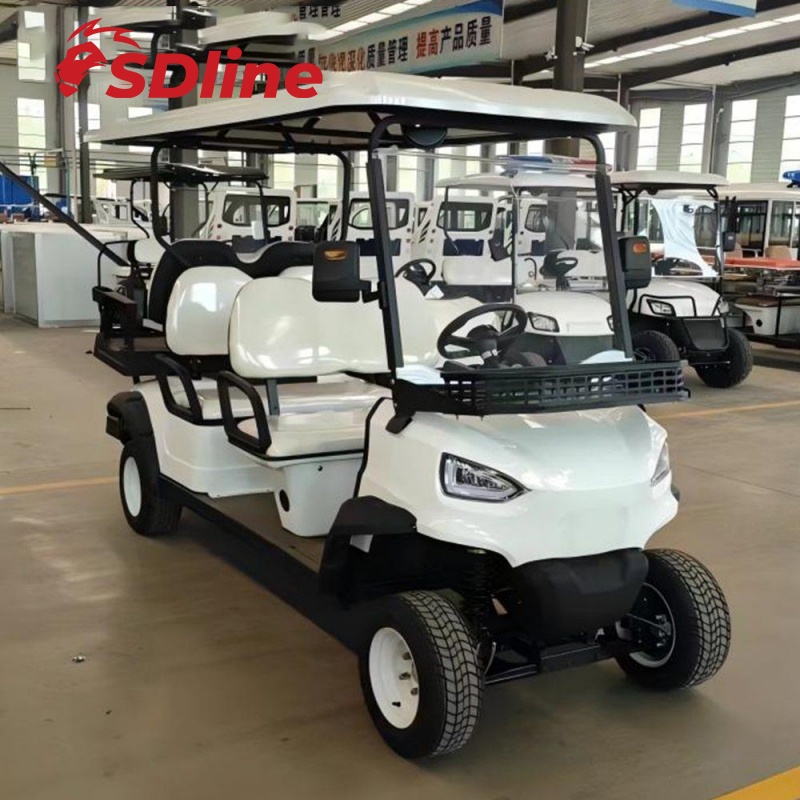 Carro de golf comercial