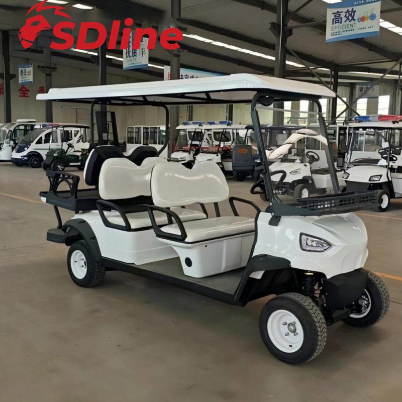 Carro de golf comercial