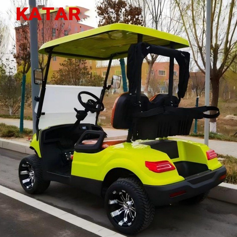Voiturette de golf avec carrosserie en plastique de haute qualité