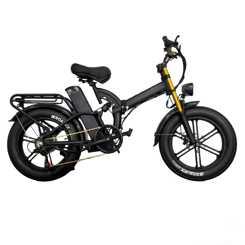 Elektrische fiets met dikke banden