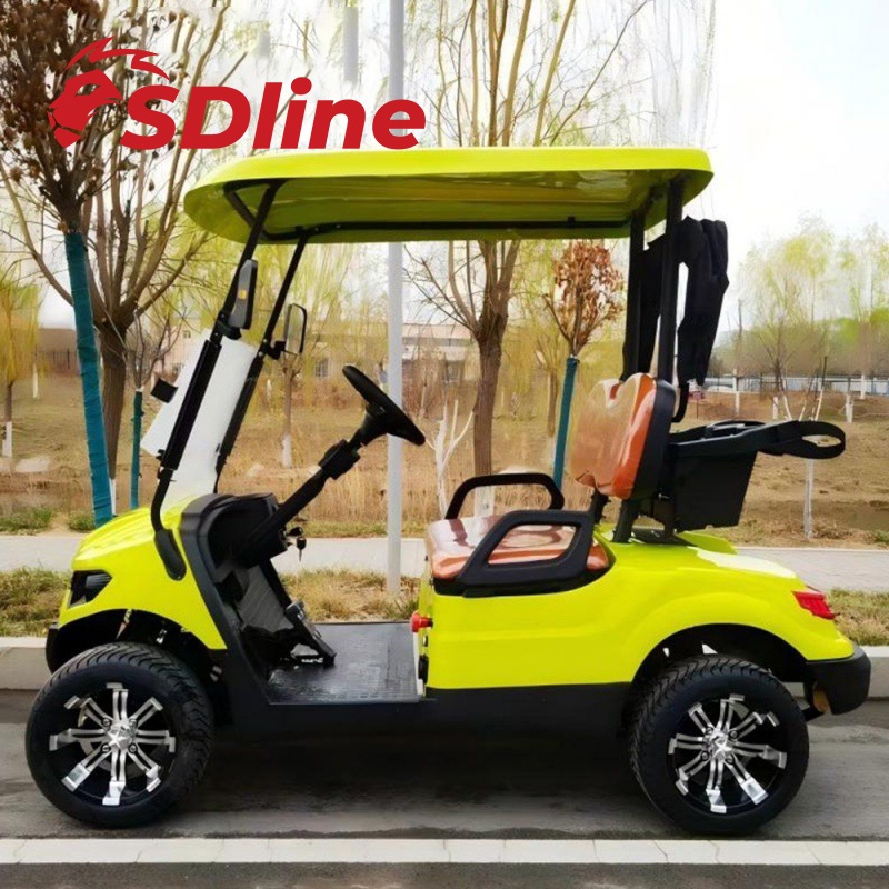 Carrito de golf de 2 plazas