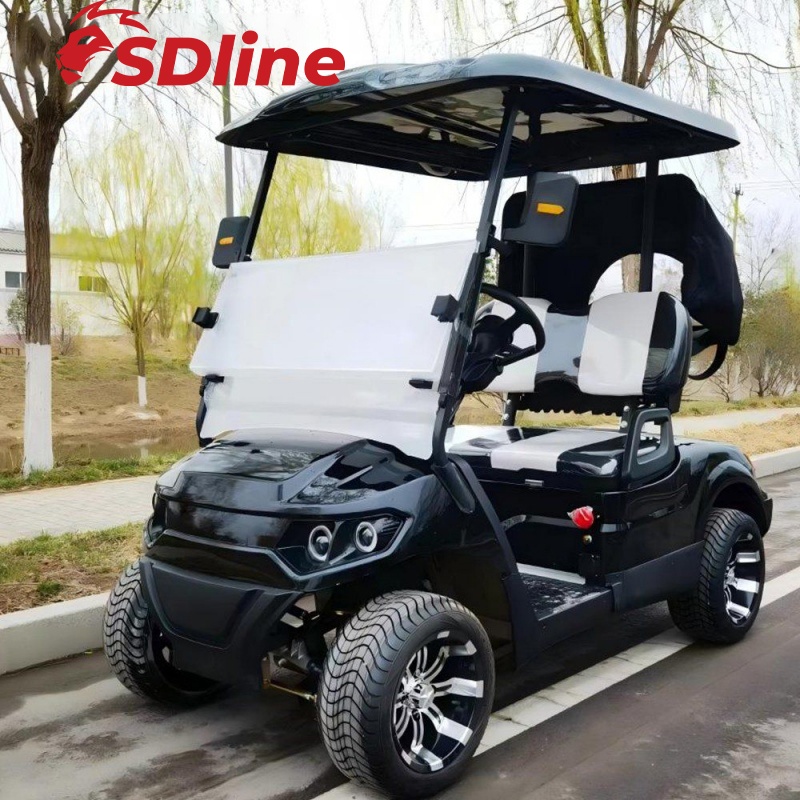 Golf Cart With High Quality Plastic Body