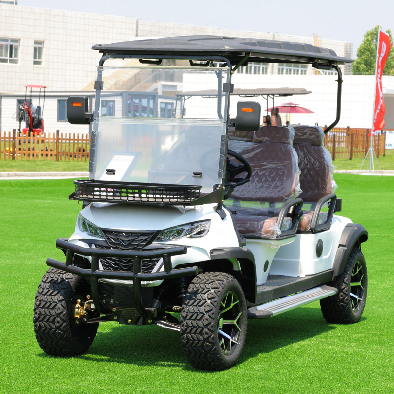 Luksusowy wózek golfowy