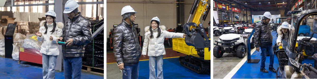 Carrito de golf eléctrico con batería de litio Carrito de golf eléctrico con batería de litio