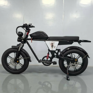 Road Electric Bike