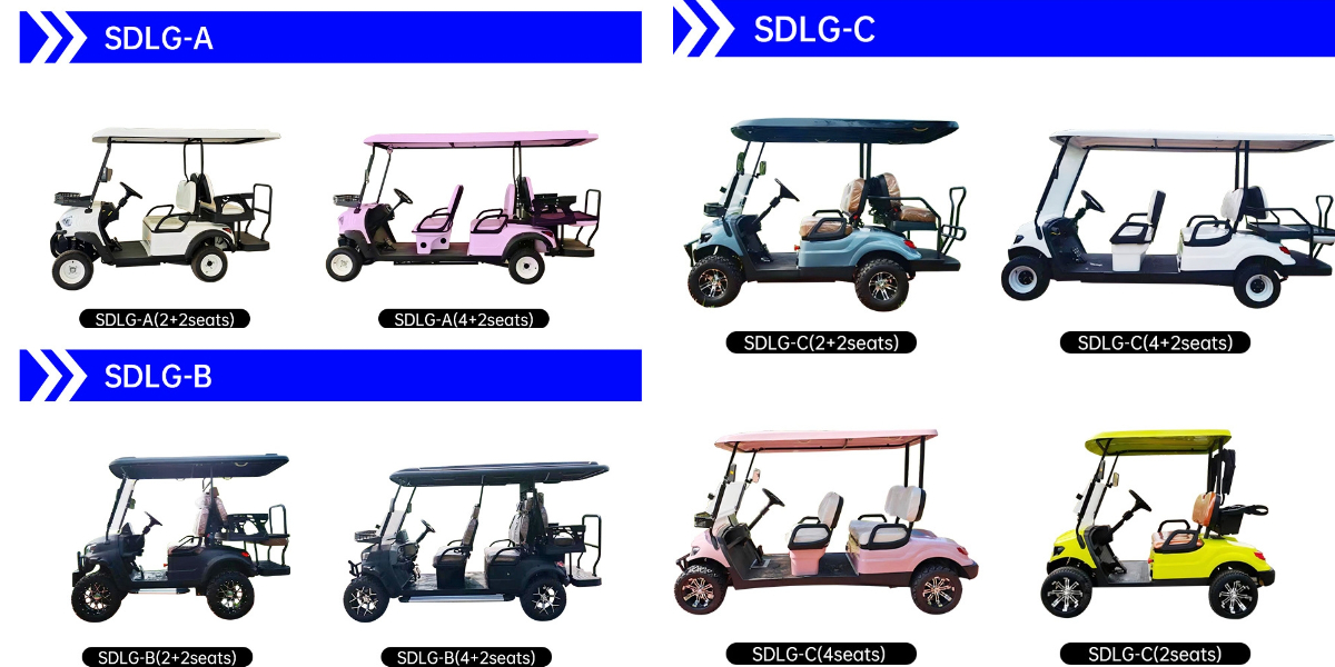 Voiturettes de golf personnalisées Elite Voiturettes de golf personnalisées Elite