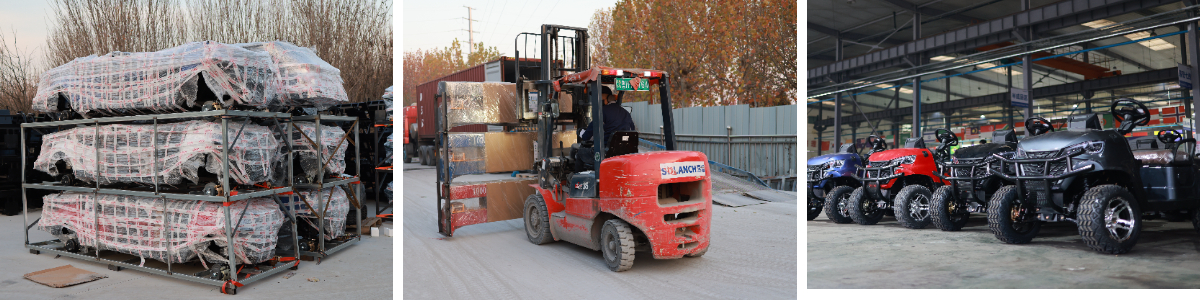 Voiturettes de golf personnalisées Elite Voiturettes de golf personnalisées Elite