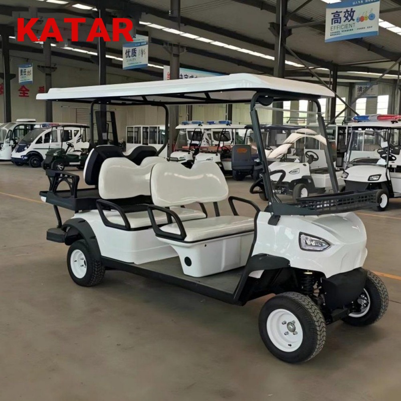 Carro de golf comercial