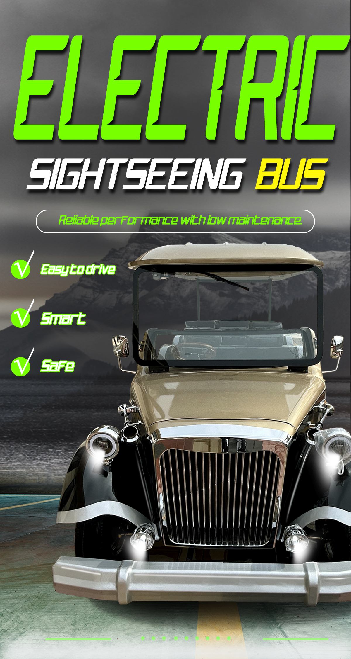 Sightseeing-Auto