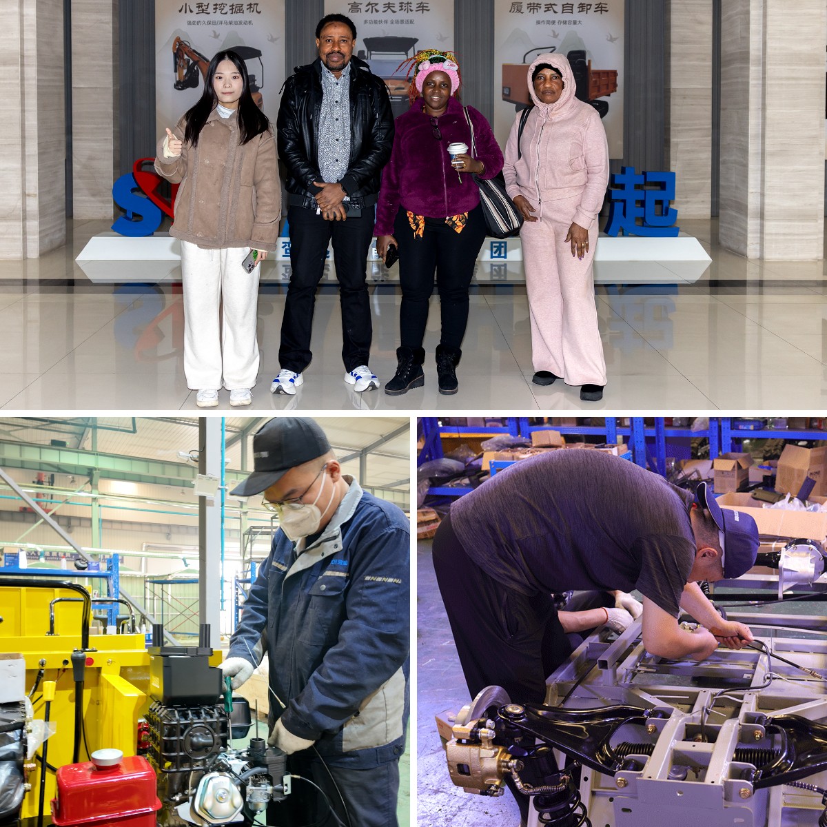 Pala gommata compatta