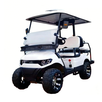 Bonne voiturette de golf électrique