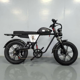 Fat Tire Ebike
