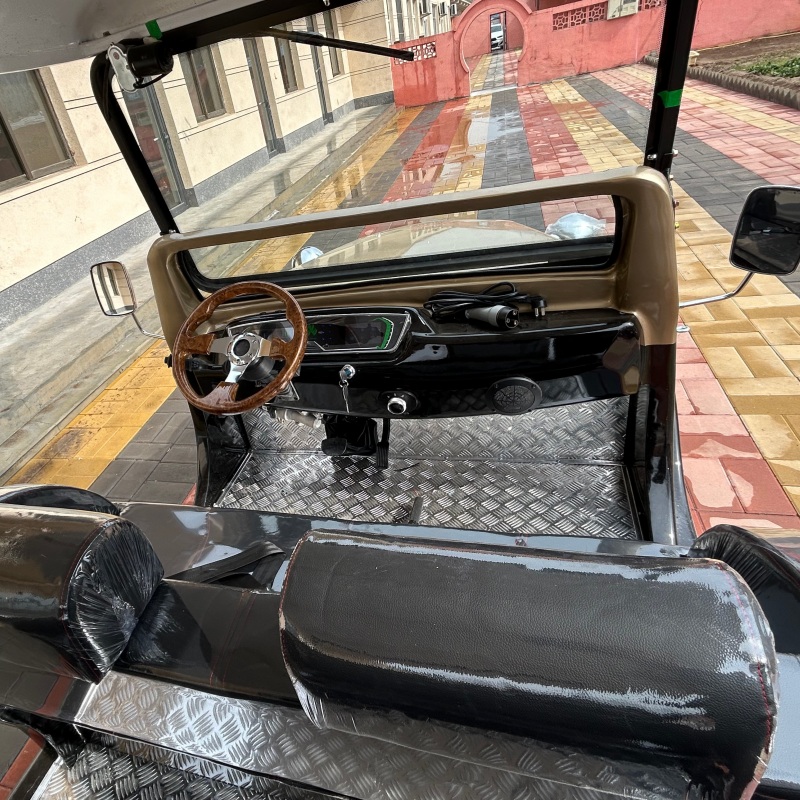 Scenic Spot Sightseeing Car