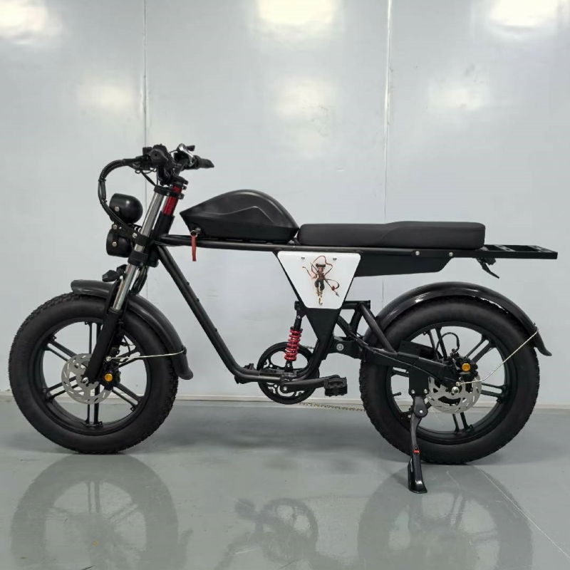 E-bike con pneumatici larghi