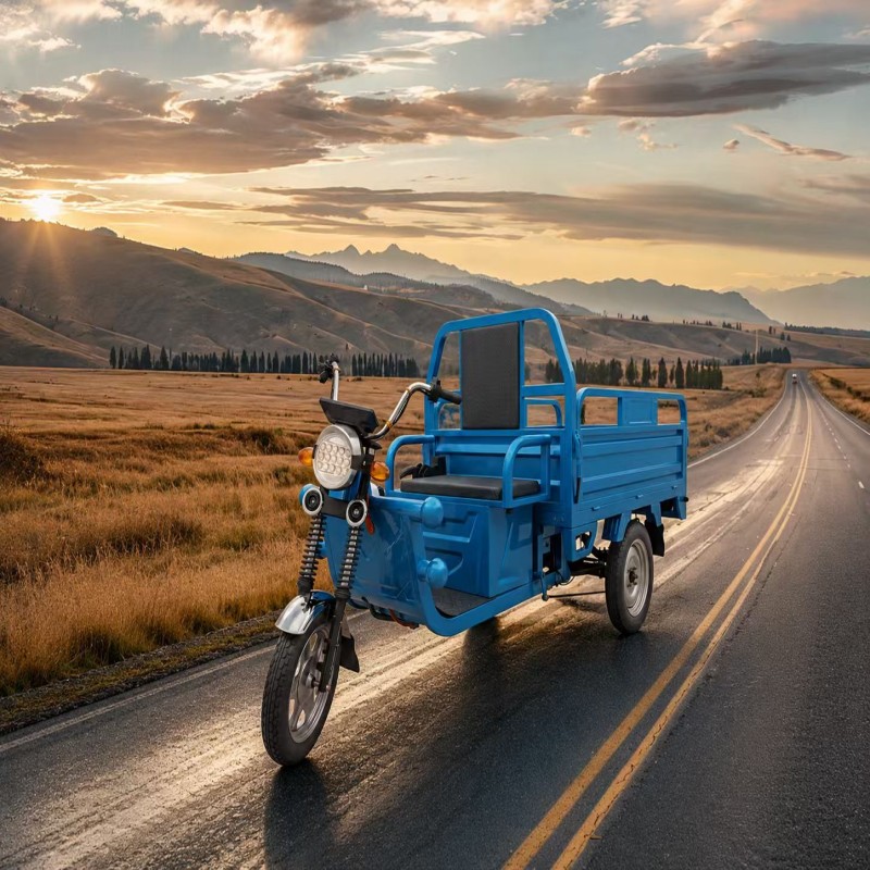 Electric Cargo Tricycle