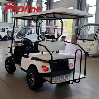 Four Person Golf Cart