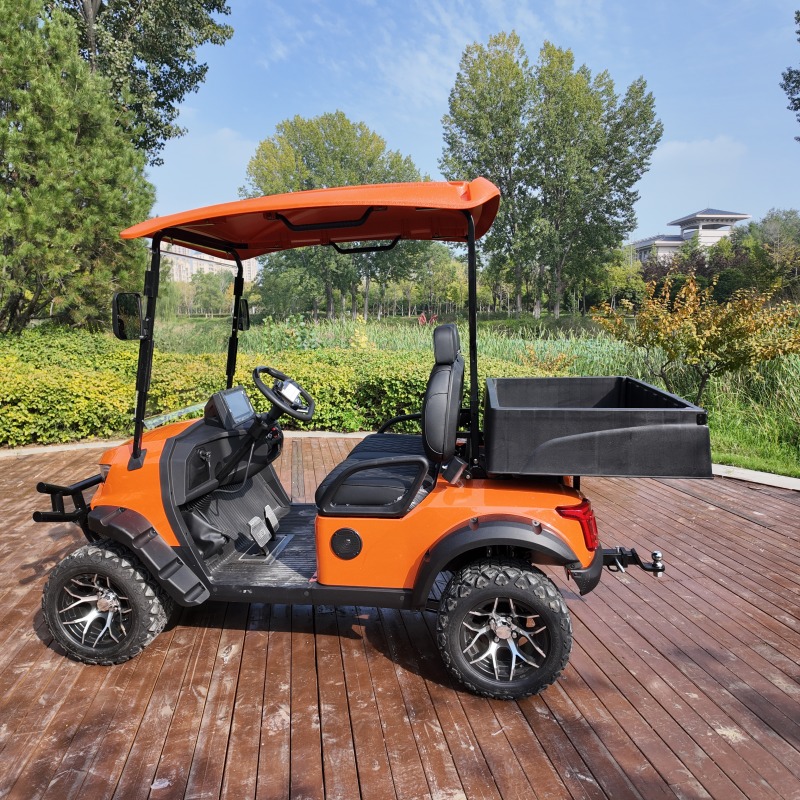 Carritos de golf personalizados a la venta