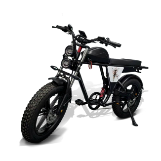 Bicicleta eléctrica