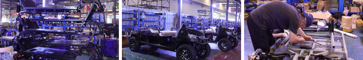 Carritos de golf personalizados a la venta