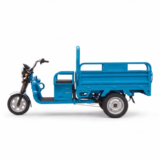 Electric Cargo Tricycle
