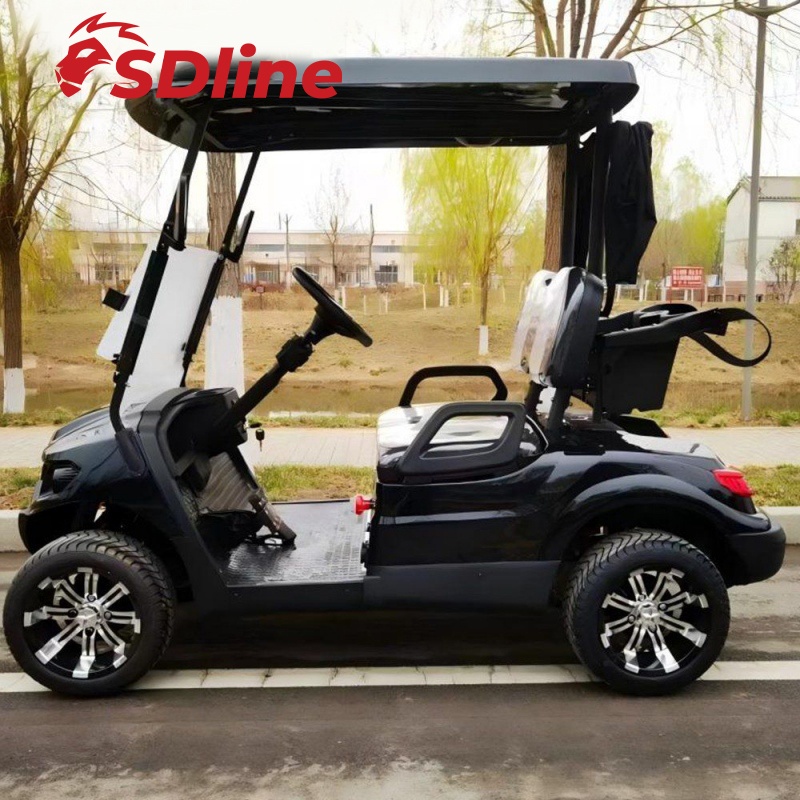 Golf Cart With High Quality Plastic Body