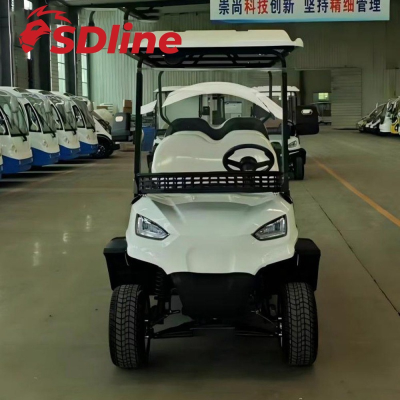 Carro de golf comercial