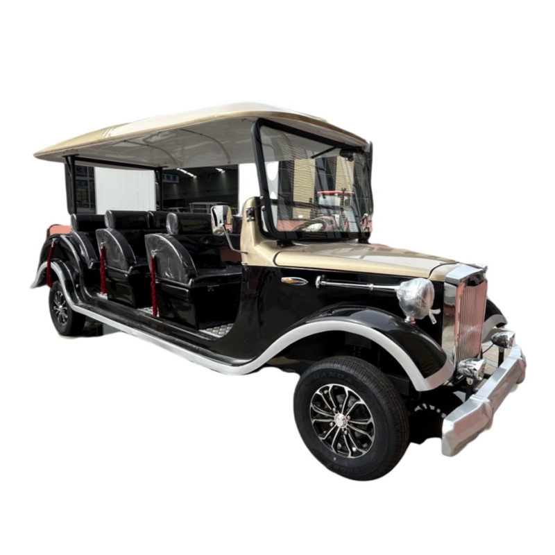 Elektrisches Sightseeing-Auto