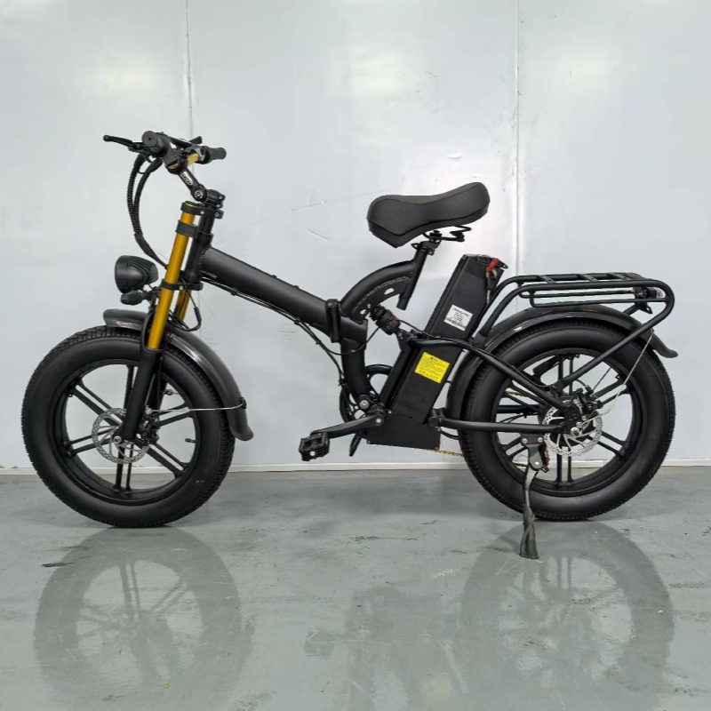 Bicicletta elettrica