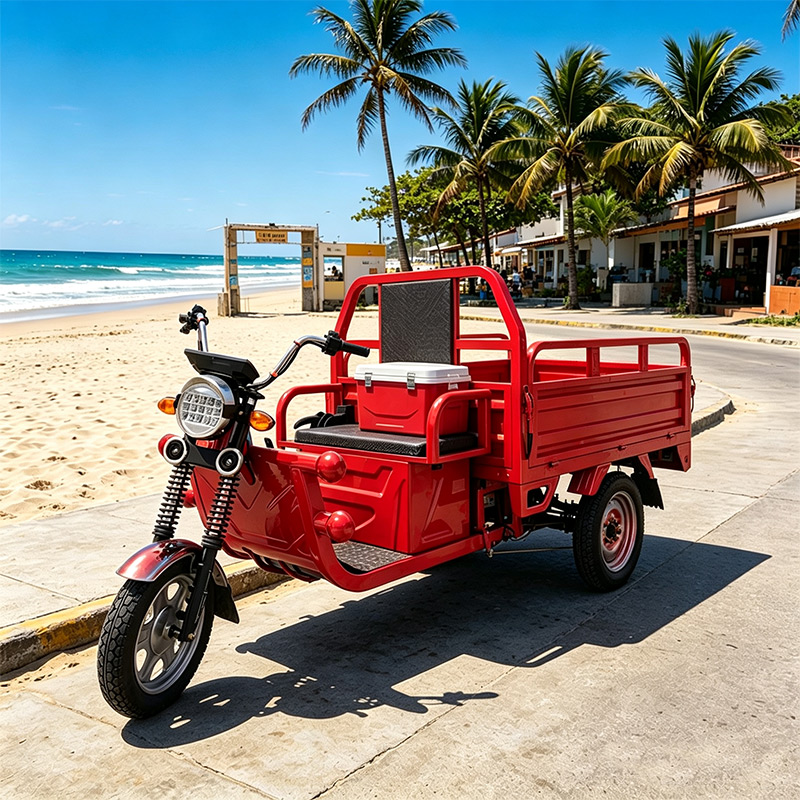 Tricycle électrique