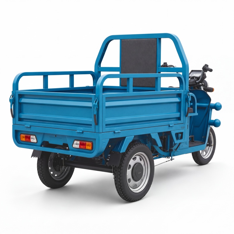 Electric Cargo Tricycle
