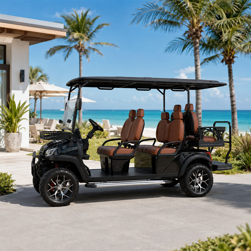 Voiturette de golf électrique