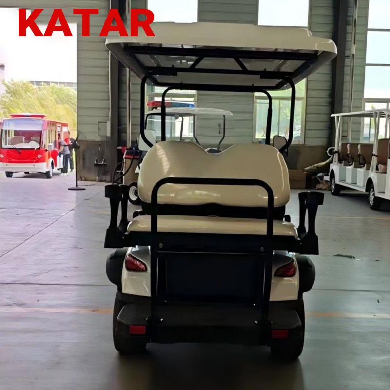 Carros de golf para palos