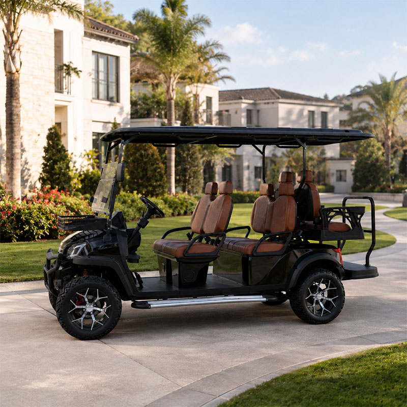 Voiturette de golf électrique