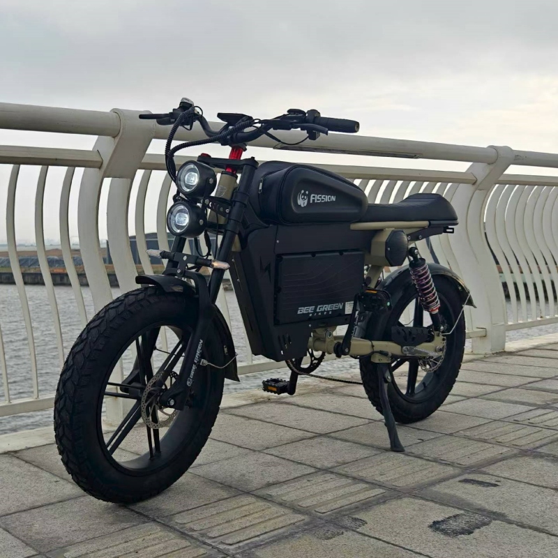 E-bike con pneumatici larghi