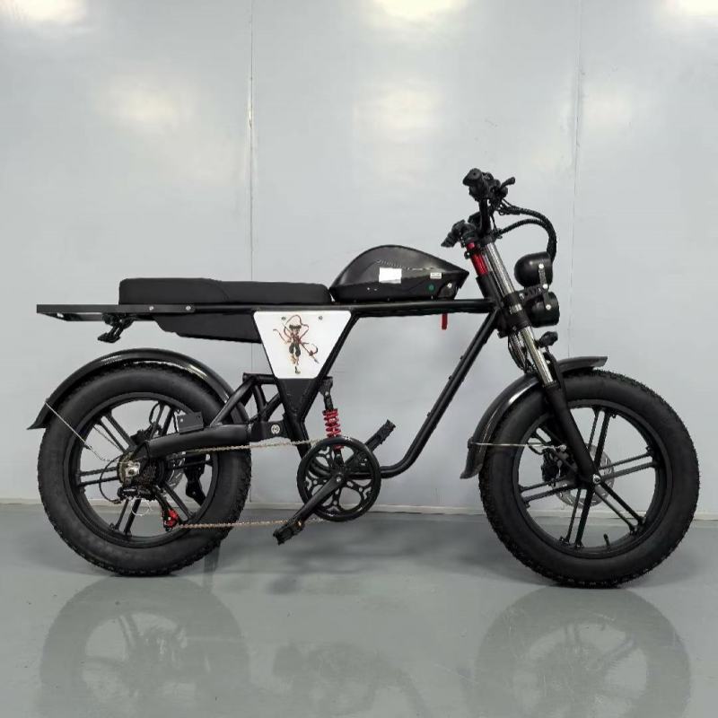 E-bike con pneumatici larghi