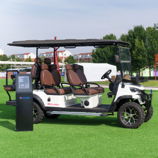 6 Személyes Elektromos Golfkocsi